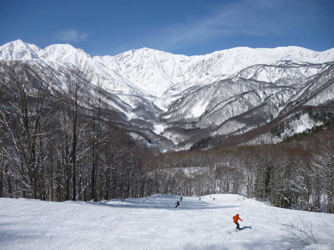 雪をまとった白馬三山と白馬岩岳のゲレンデ